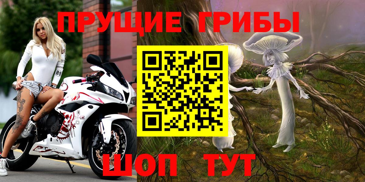 Псилоцибиновые грибы мицелий Орехово-Зуево